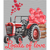 Valentine's Day-QRJ  4164